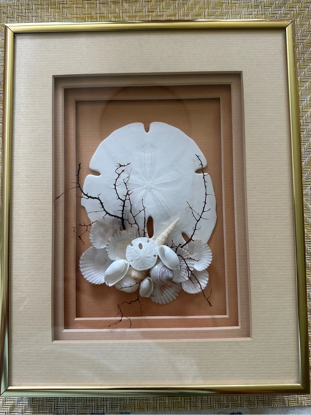 Gold framed shadow box wall art with sand dollar and shells
